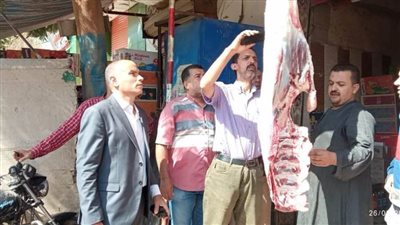 تحرير 66 محضرا وضبط 613 كيلو لحوم غير صالحة للاستهلاك الآدمي بالمنيا 