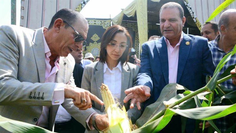 جانب من فعاليات افتتاح