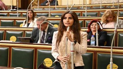 خارجية النواب: زيارة الرئيس السيسي إلى تركيا تبني شراكة استراتيجية واضحة