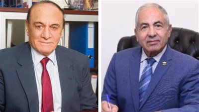 خبراء استراتيجيون: «معرض مصر للطيران» كان حلم ننتظر تحقيقه منذ سنوات.. ويؤكدون: منصة دولية