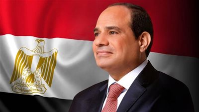 الرئيس السيسي يعود إلى أرض الوطن 