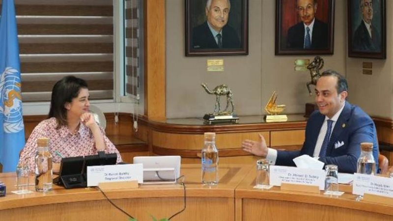 السبكي وبلخي