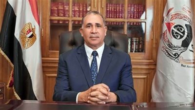 عاجل.. نقيب المحامين يصدر قرارًا بوقف «محامي المساكنة» عن ممارسة المحاماة