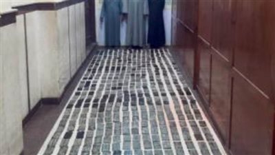 ضبط 4 عناصر إجرامية  بحوزتهم مخدرات بالإسكندرية والمنيا