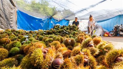 مقاطعة بجنوبي الصين تستعد لمواجهة إعصار 