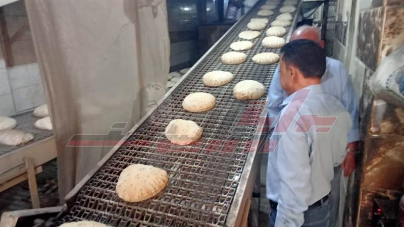 الحملات الرقابية