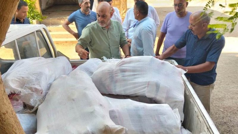 دجاج فاسد بالمنوفية