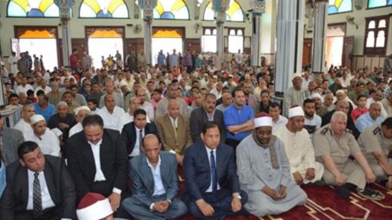 نائب محافظ الغربية