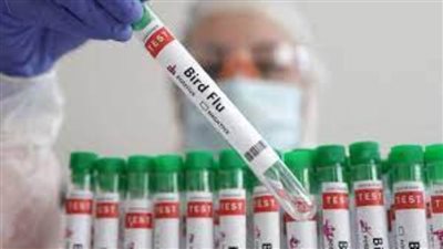 أمريكا تعلن تسجيل أول إصابة لشخص بإنفلونزا الطيور دون التعرض لحيوان مريض