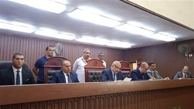 المشدد 3 سنوات لمسؤولة شركة للتهرب الضريبي بشبرا الخيمة