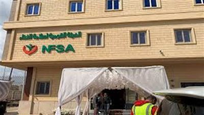 تفاصيل التقرير الـ33 للهيئة القومية لسلامة الغذاء لعام 2024