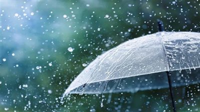 أبحاث حديثة تشير إلى أن مياه الأمطار ساعدت في تكوين الخلايا الأولية