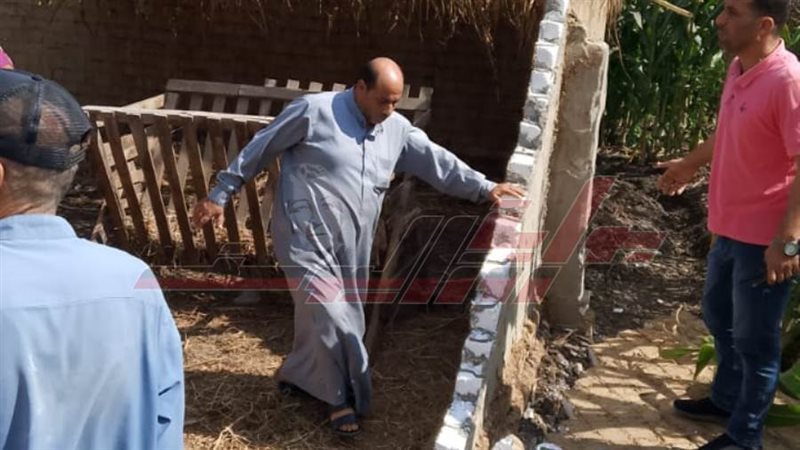 إزالة التعديات