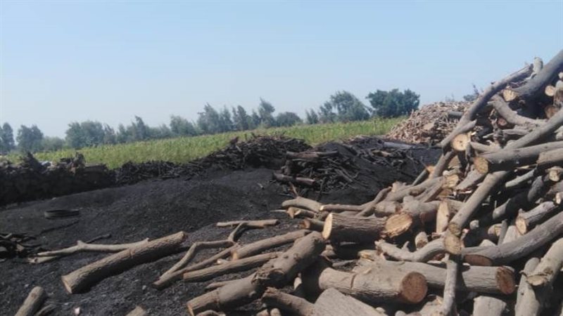 جانب من غلق مكامير