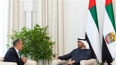 وزير الخارجية يلتقي مع رئيس دولة الإمارات العربية المتحدة
