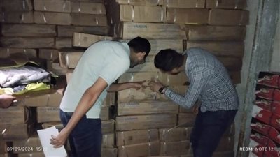 بالصور.. ضبط 12 طن أسماك مجمدة منتهية الصلاحية في الغربية