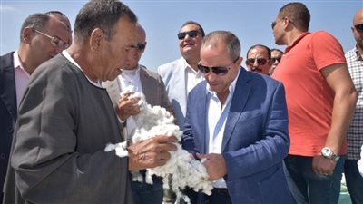 محافظ بورسعيد يشارك مزارعي سهل الطينة الاحتفال بعيد الفلاح.. ويشيد بإنتاجبة محصول القطن