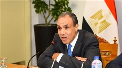 وزير الخارجية: مصر ليس لديها معسكر واحد للاجئين ويعيشون كالمصريين