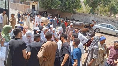 بيطري المنيا يعلن تقديم 3138 خدمة خلال 6 قوافل مجانية