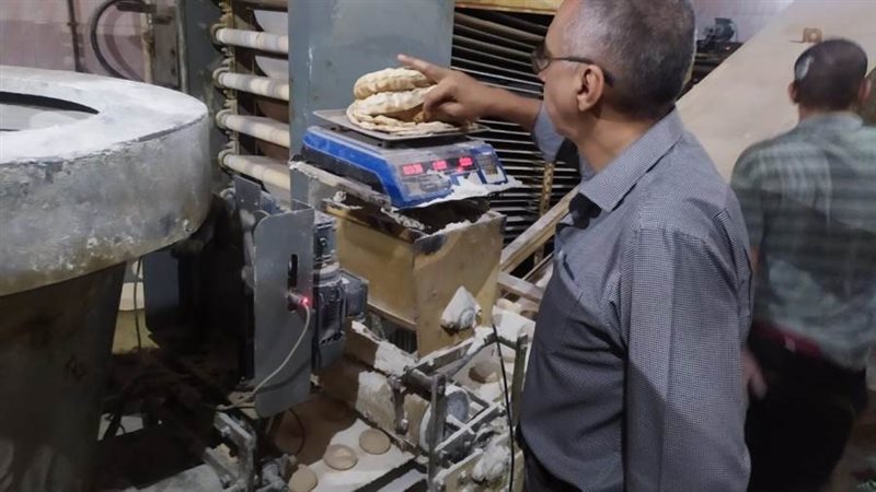 جانب من الحملة على