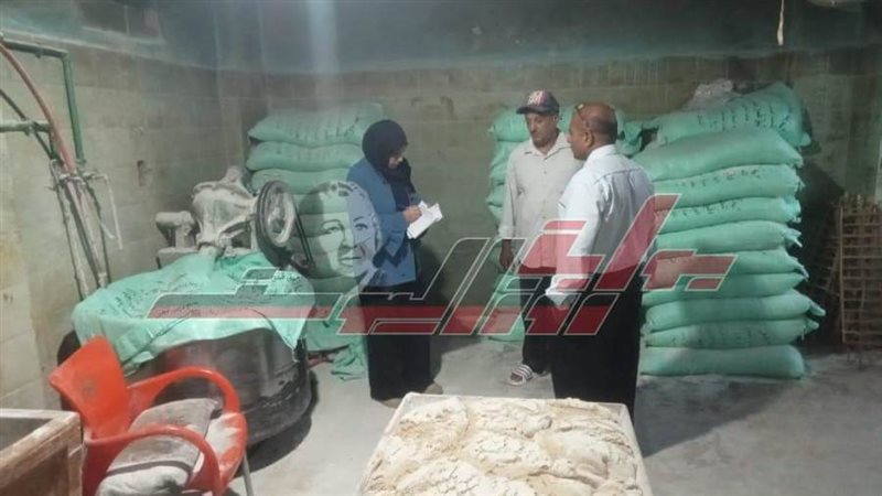 الحملات الرقابية