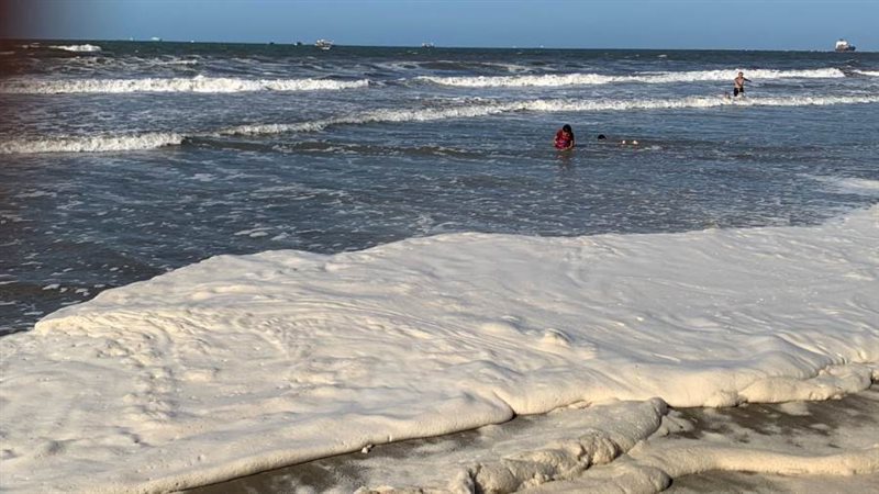 زبد البحر علي شاطئ