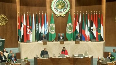 وزير الخارجية التركي يثمن دور مصر في توصيل مساعدة غزة