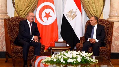 وزير الخارجية يشيد بالطفرة التي تشهدها العلاقات المصرية التونسية