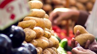 مجلة عالمية تبرز مشاركة مصر في معرض للفواكه والخضروات بإسبانيا