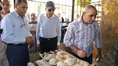   ضبط 120 مخالفة خلال حملات تفتيشية تموينية مكبرة على المخابز والأسواق وضبط صيدلية. 