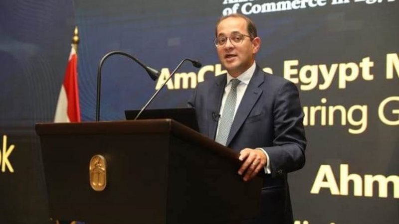 وزير المالية أحمد