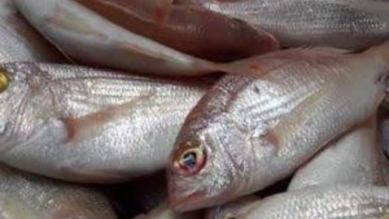 صوره ارشيفيه