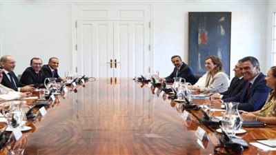 وزير الخارجية يشارك في لقاء بمدريد يجمع رئيس وزراء إسبانيا ووزراء خارجية عدد من الدول حول القضية الفلسطينية