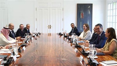 عبد العاطي يؤكد ضرورة التوصل لوقف فوري لإطلاق النار في غزة وانسحاب إسرائيل من معبر رفح ومحور فيلادلفيا