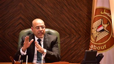 وزير العمل استعرض أمام المجموعة الوزارية لبلدان البريكس جهود الدولة بتنفيذ برامج الحماية الاجتماعية
