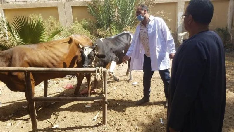 قوافل بيطرية مجانية