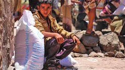 صحيفة أمريكية: تهليل سكان غزة بوصول شحنة مساعدات 