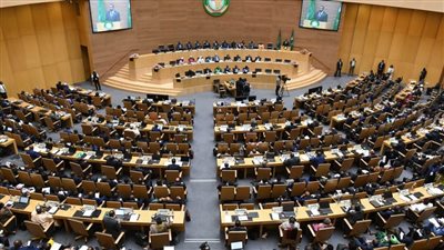 الاتحاد الإفريقي يحث دول الأعضاء لتكثيف الجهود لنجاح الخطة القارية للتأهب والاستجابة لجدري القردة