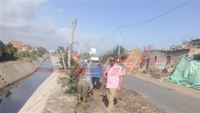 استمرار أعمال التشجير ضمن المبادرة الرئاسية «100 مليون شجرة»