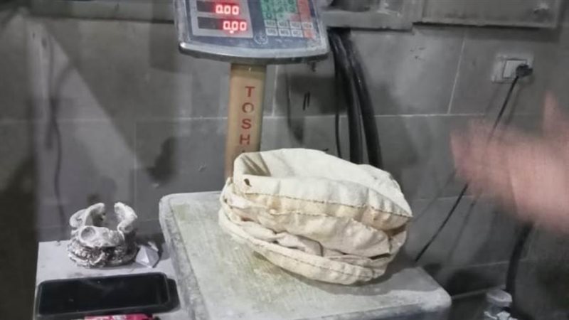 جانب من الحملة على