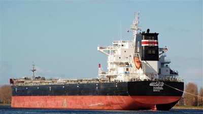 وصول 2100 رأس عجول حية بوزن 500 طن لميناء سفاجا