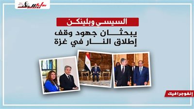 الرئيس السيسي وبلينكن يبحثان جهود وقف إطلاق النار في غزة