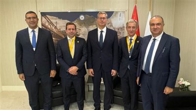 مباحثات بترولية مع نائب الرئيس التنفيذي للغاز الطبيعي المسال بشركة شل 