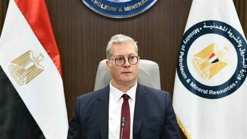 المهندس كريم بدوي