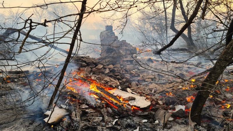 حرائق الغابات