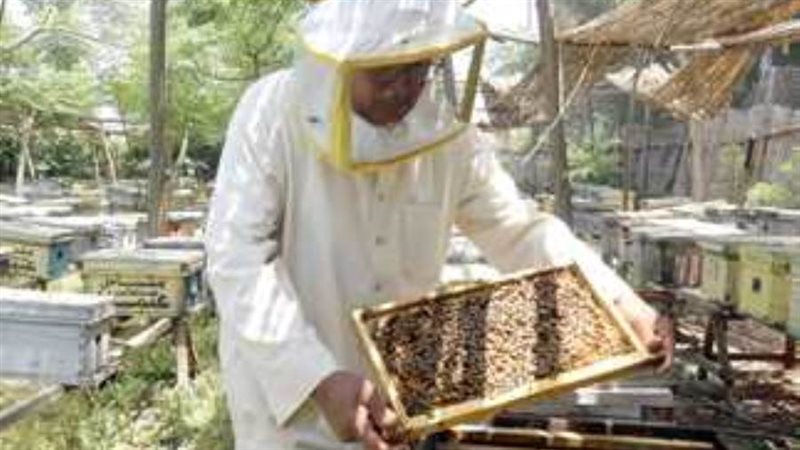 السيطرة على حريق