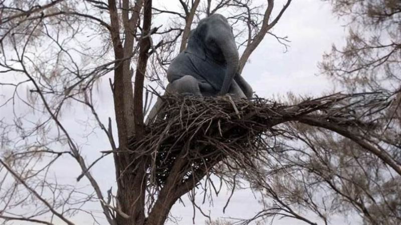 قبل صغير فوق الشجرة