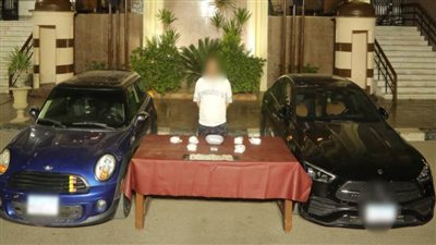 سقوط عنصر  إجرامي بالقاهرة بحوزته مخدر 
