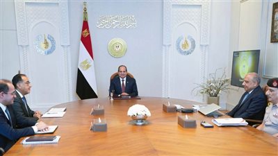 عاجل.. الرئيس السيسي يوجه بمواصلة جهود تحسين الكهرباء على مستوى الجمهورية 