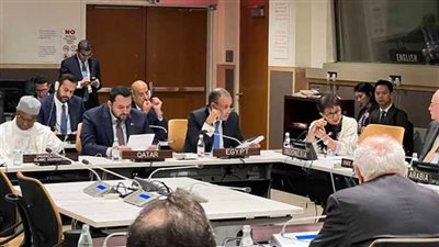 وزير الخارجية: أي صيغة لترتيبات اليوم التالي للحرب على غزة يجب أن تقوم على حل الدولتين